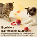 🐾 ¡PELOTA INTERACTIVA + GUANTE QUITAPELOS GRATIS! 🎁 ¡DIVERSIÓN Y CUIDADO EN UN SOLO KIT! 🔥