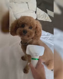 ✨ Cepillo Secador 2 en 1 Para Mascotas – Seca y Desenreda Sin Estrés 🐾 | ¡Envío Gratis y Pago al Recibir!